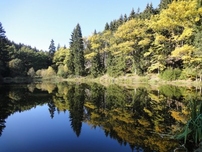 Holiday house Red Cat - Environment photo 26