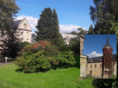 Holiday house Red Cat - Environment photo 29