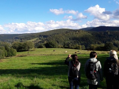 Holiday house Red Cat - Environment photo 31