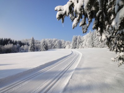 Holiday house Red Cat - Environment photo 32