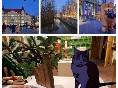 Holiday house Red Cat - Environment photo 40