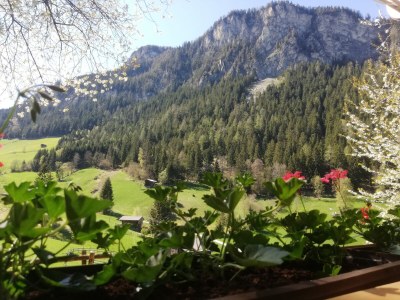 Holiday apartment Appartement Holderhof - Outdoor photo 7