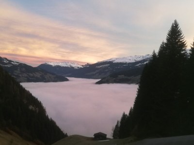 Holiday apartment Appartement Holderhof - Outdoor photo 8