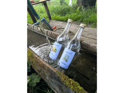 Holiday apartment Appartement Holderhof - Outdoor photo 17