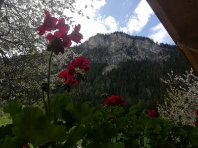 Holiday apartment Appartement Holderhof - Outdoor photo 19