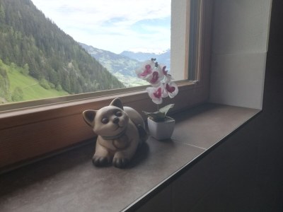 Holiday apartment Appartement Holderhof - Features photo 34