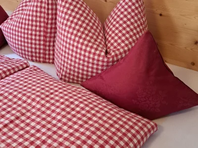 Holiday apartment Appartement Holderhof - Features photo 35