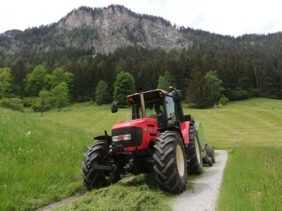 Holiday apartment Appartement Holderhof - Environment photo 38