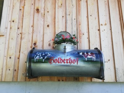 Holiday apartment Appartement Holderhof - Environment photo 39