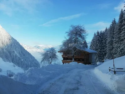 Holiday apartment Appartement Holderhof - Environment photo 40