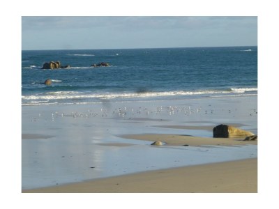 Holiday apartment Callot - Environment photo 12