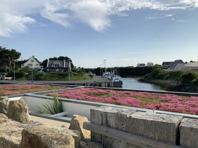Holiday house Villa Melanie - Outdoor photo 7
