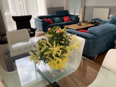 Holiday house Villa des Dunes - Features photo 8