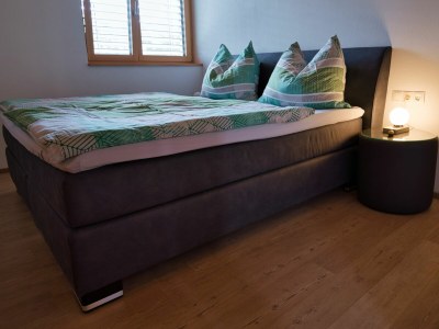 Holiday apartment Elisa Apartment - Features photo 9