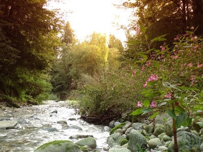 Holiday apartment Elisa Apartment - Environment photo 15