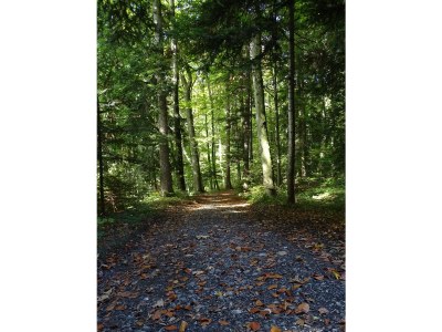 Holiday apartment Elisa Apartment - Environment photo 18