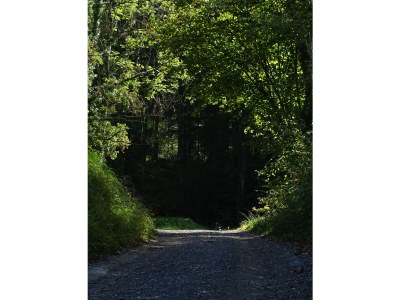 Holiday apartment Elisa Apartment - Environment photo 19