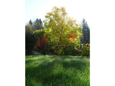 Holiday apartment Elisa Apartment - Environment photo 20