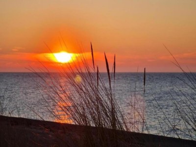 Holiday house Gemütlicher Ostseeurlaub für 2 Gäste - Environment photo 23