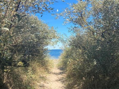 Apartment Stilvoll übernachten in Kägsdorf - Environment photo 28