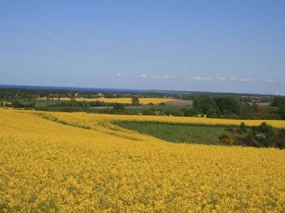 Apartment Stilvoll übernachten in Kägsdorf - Environment photo 32