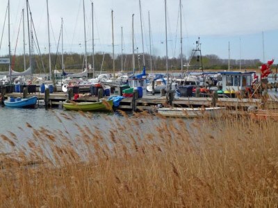 Apartment Stilvoll übernachten in Kägsdorf - Environment photo 34