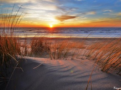 Holiday apartment Dorp & Duin - Environment photo 14