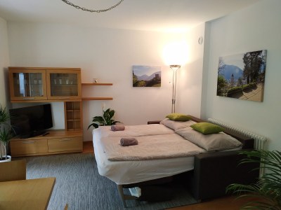 Apartment Appartment Trojer - Features photo 7