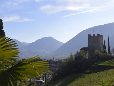 Apartment Appartment Trojer - Environment photo 15