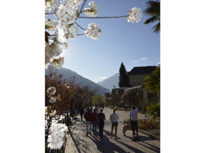 Apartment Appartment Trojer - Environment photo 16