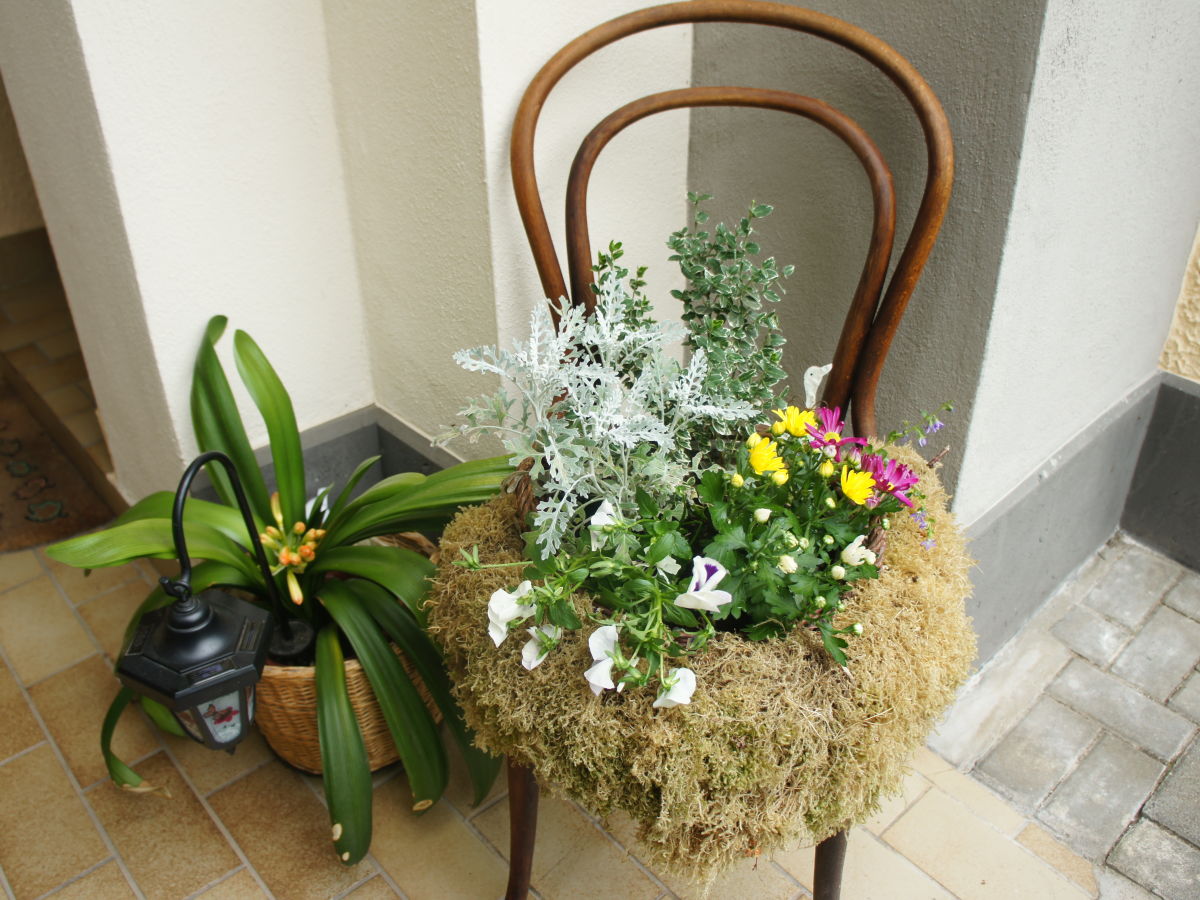 Holiday apartment Lill Layendecker - Outdoor photo 2