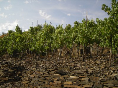 Holiday apartment Lill Layendecker - Environment photo 17