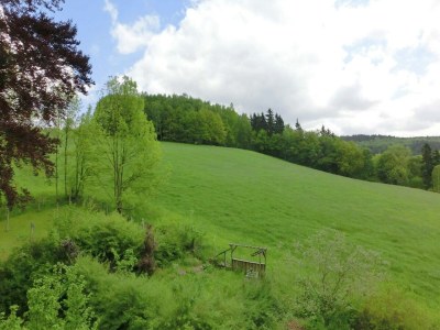 Villa Sonnige Flucht in Borstendorf - Environment photo 32