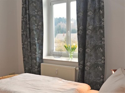 Villa Villa in Borstendorf nahe Erzgebirge - Features photo 13