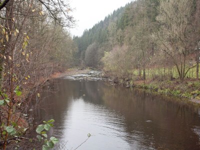 Villa Villa in Borstendorf nahe Erzgebirge - Environment photo 19