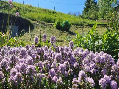Villa Villa in Borstendorf nahe Erzgebirge - Environment photo 24