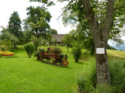 Holiday apartment "Zak" Klopeiner See - Outdoor photo 7