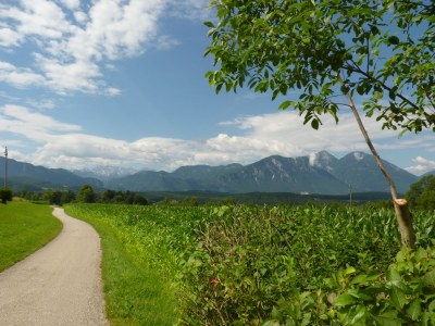 Holiday apartment "Zak" Klopeiner See - Environment photo 14