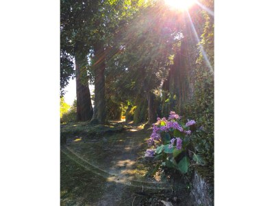 Holiday house Villa della Marchesa - Outdoor photo 4