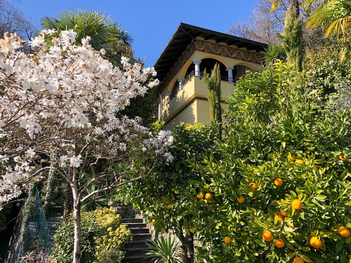 Holiday house Villa Zanotti with pool - Outdoor photo 2