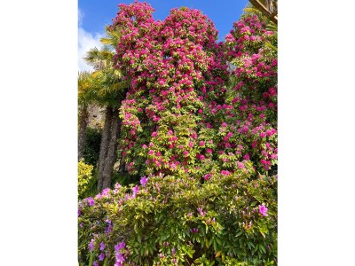 Holiday house Villa Zanotti with pool - Outdoor photo 14