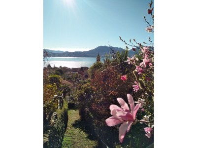 Holiday house Villa Zanotti with pool - Environment photo 28