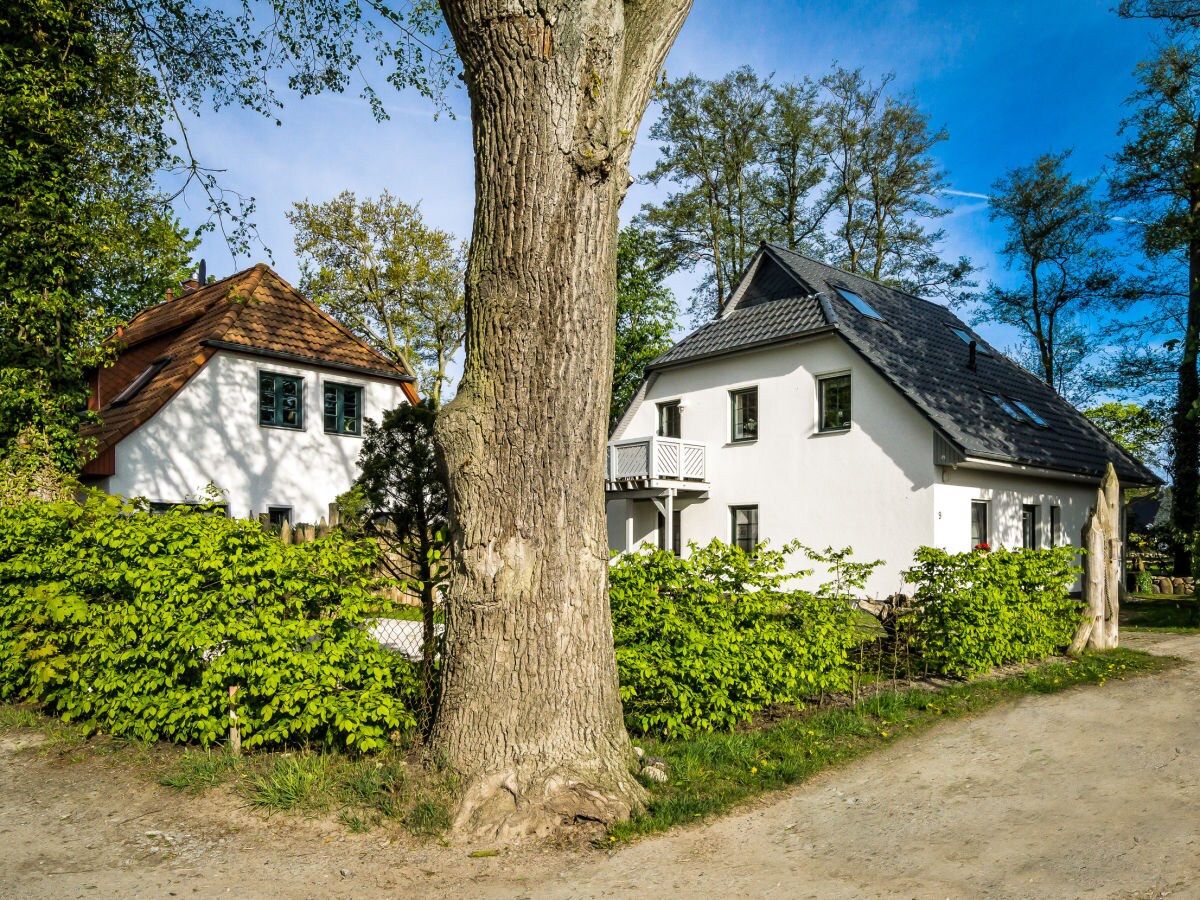 Holiday apartment Bucht 9 - Outdoor photo 3