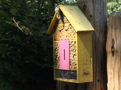 Holiday apartment Bucht 9 - Environment photo 19