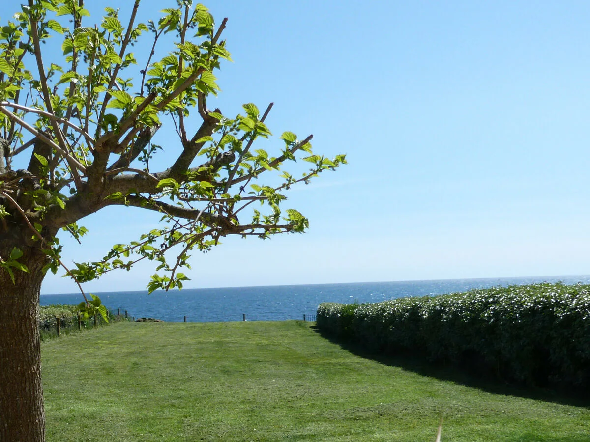 Holiday house 605-VIlla ocean. The Atlantic at the end of the garden - Outdoor photo 2