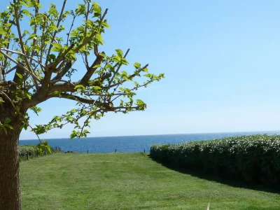 Holiday house 605-VIlla ocean. The Atlantic at the end of the garden - Outdoor photo 2