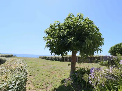 Holiday house 605-VIlla ocean. The Atlantic at the end of the garden - Environment photo 16
