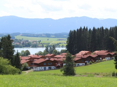 Holiday house Stella Alpina - Outdoor photo 3