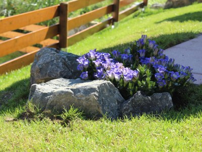 Holiday house Stella Alpina - Outdoor photo 6