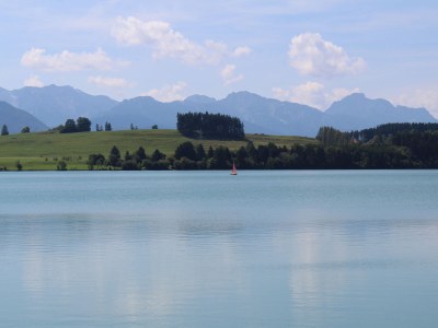 Holiday house Stella Alpina - Environment photo 22